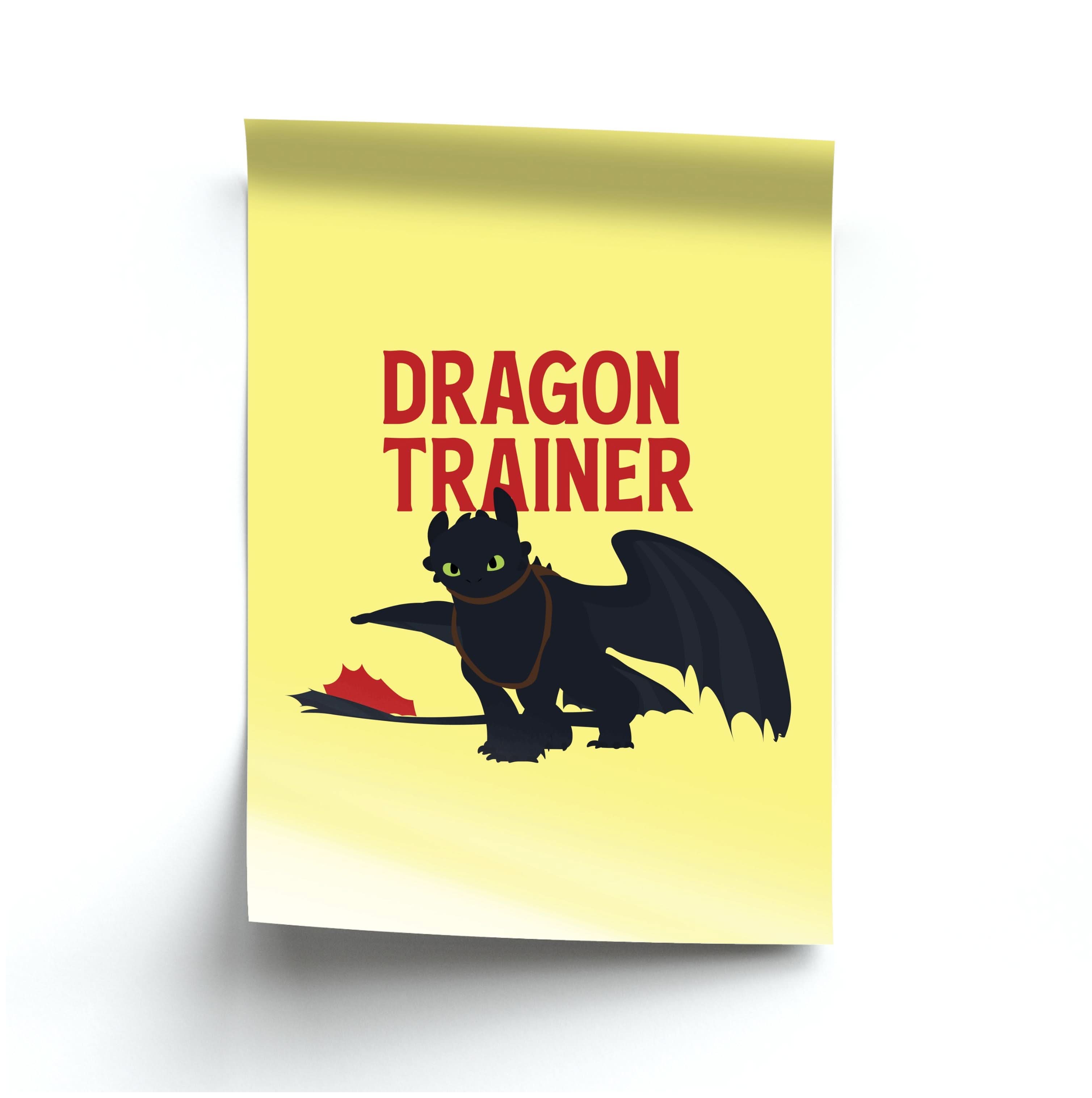 Dragon Trainer Poster