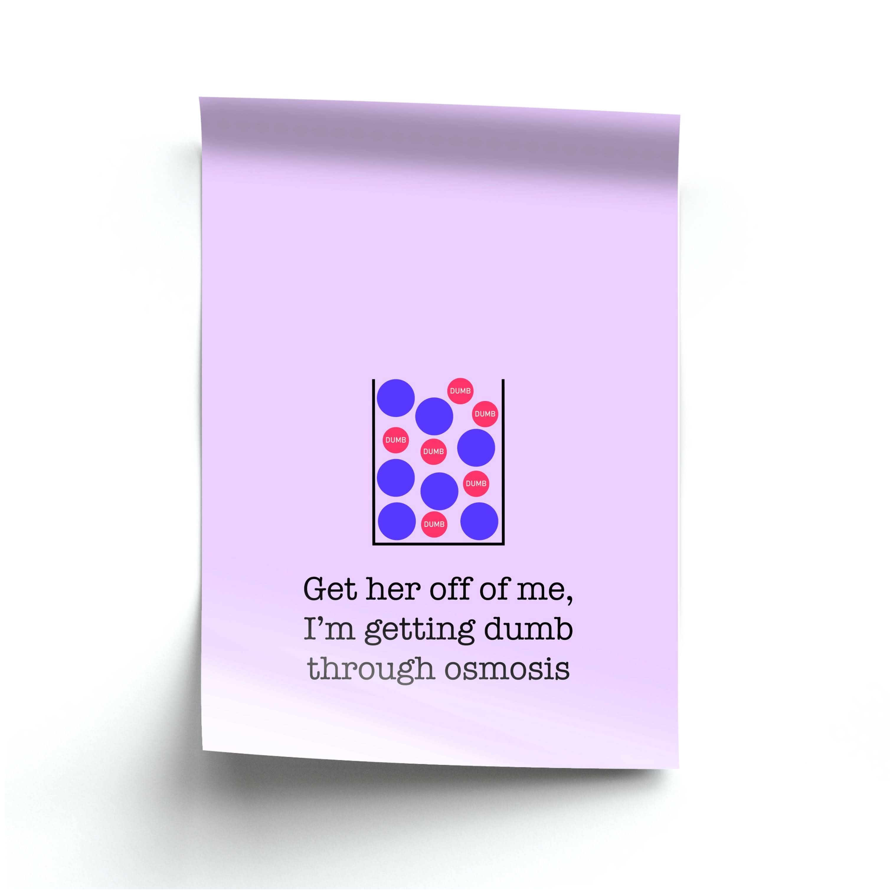 Dumb Osmosis Poster