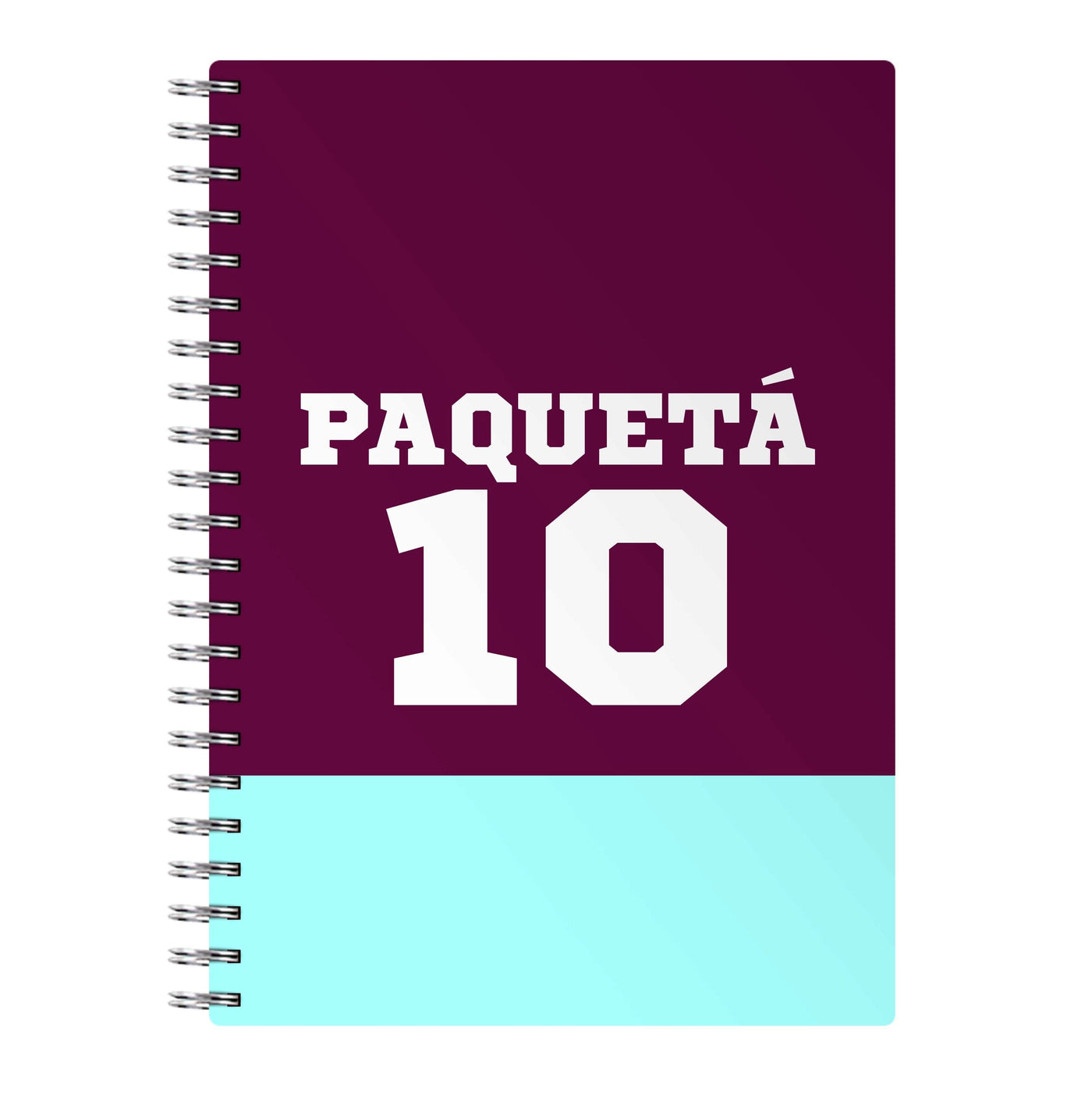 Claret And Light Blue Notebook