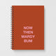 Arctic MonkeysNotebooks