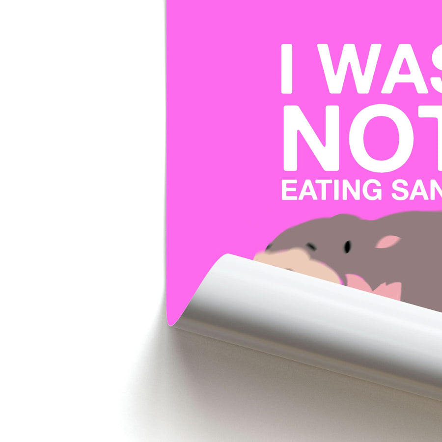 I Was Not Eating Sand Poster