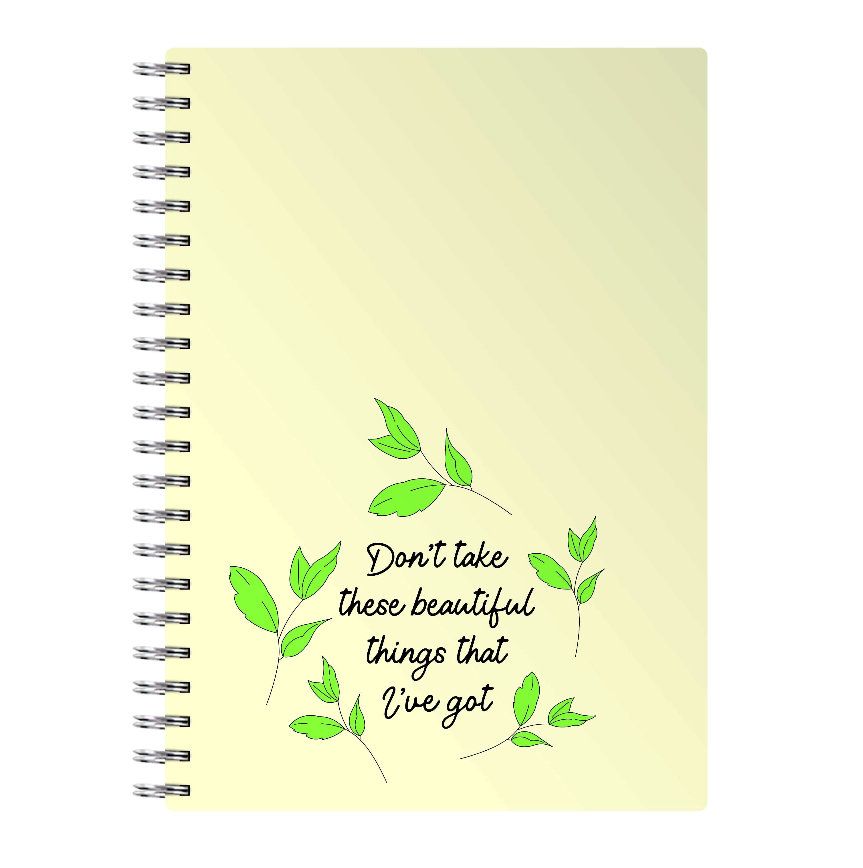 Don't Take These Beautiful Things That I've Got Notebook