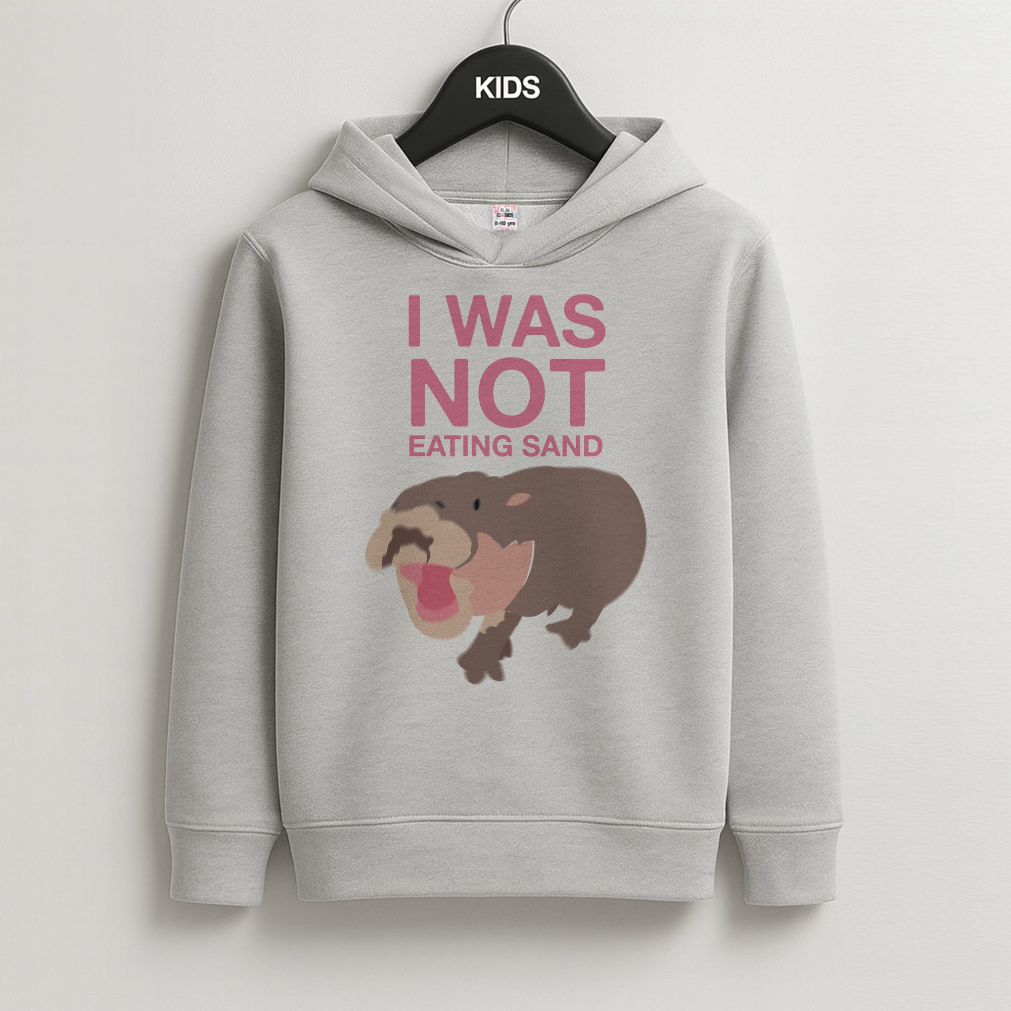I Was Not Eating Sand Kids Grey Hoodie