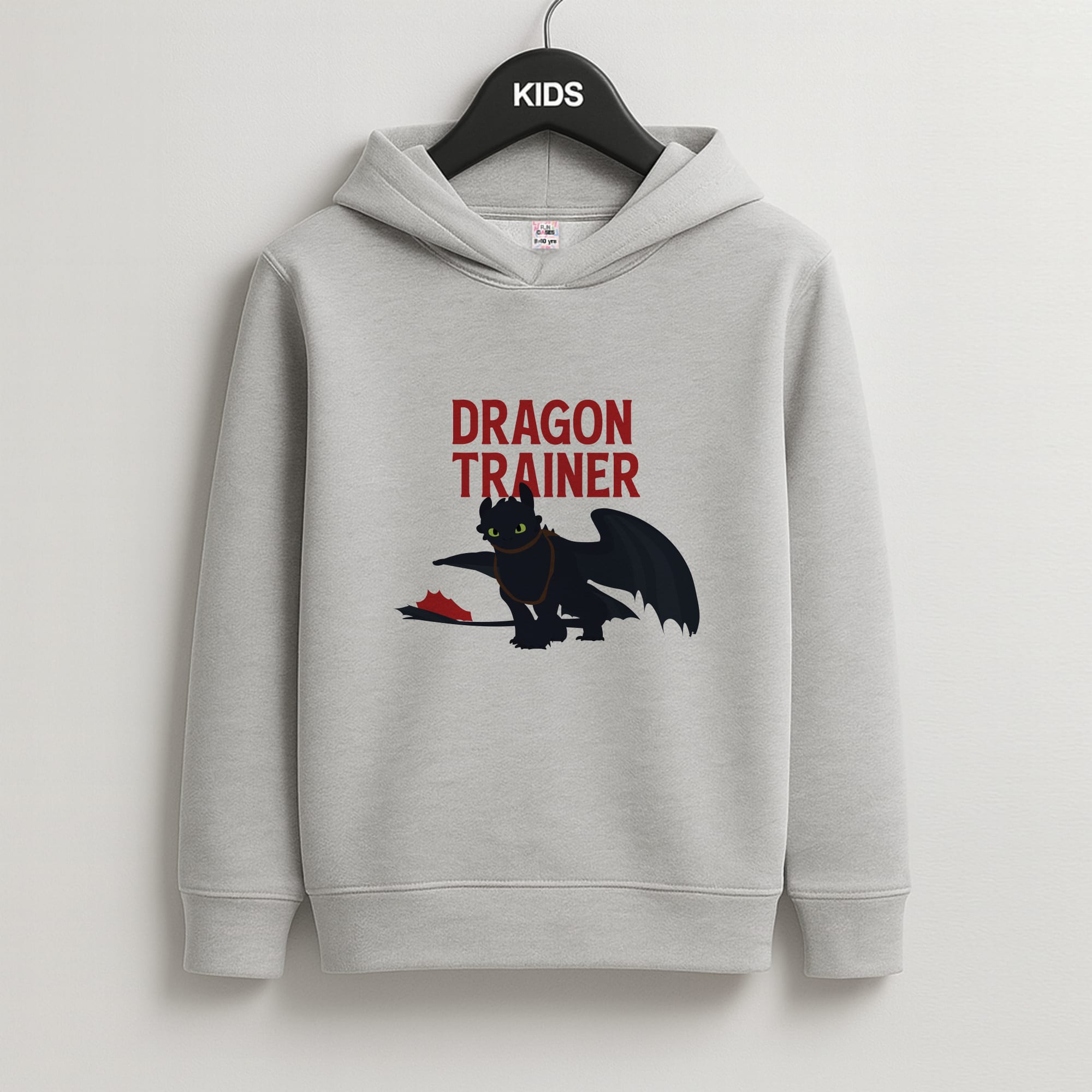 Dragon Trainer Kids Grey Hoodie