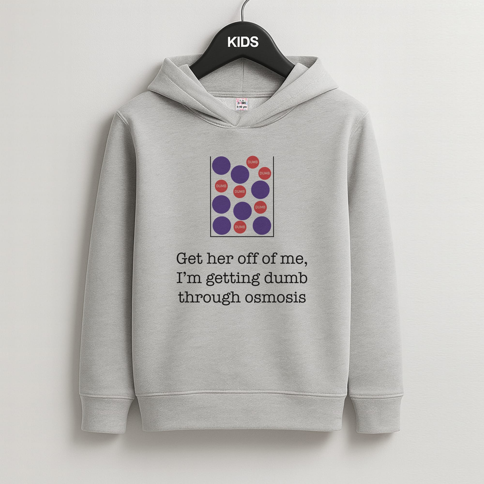 Dumb Osmosis Kids Grey Hoodie