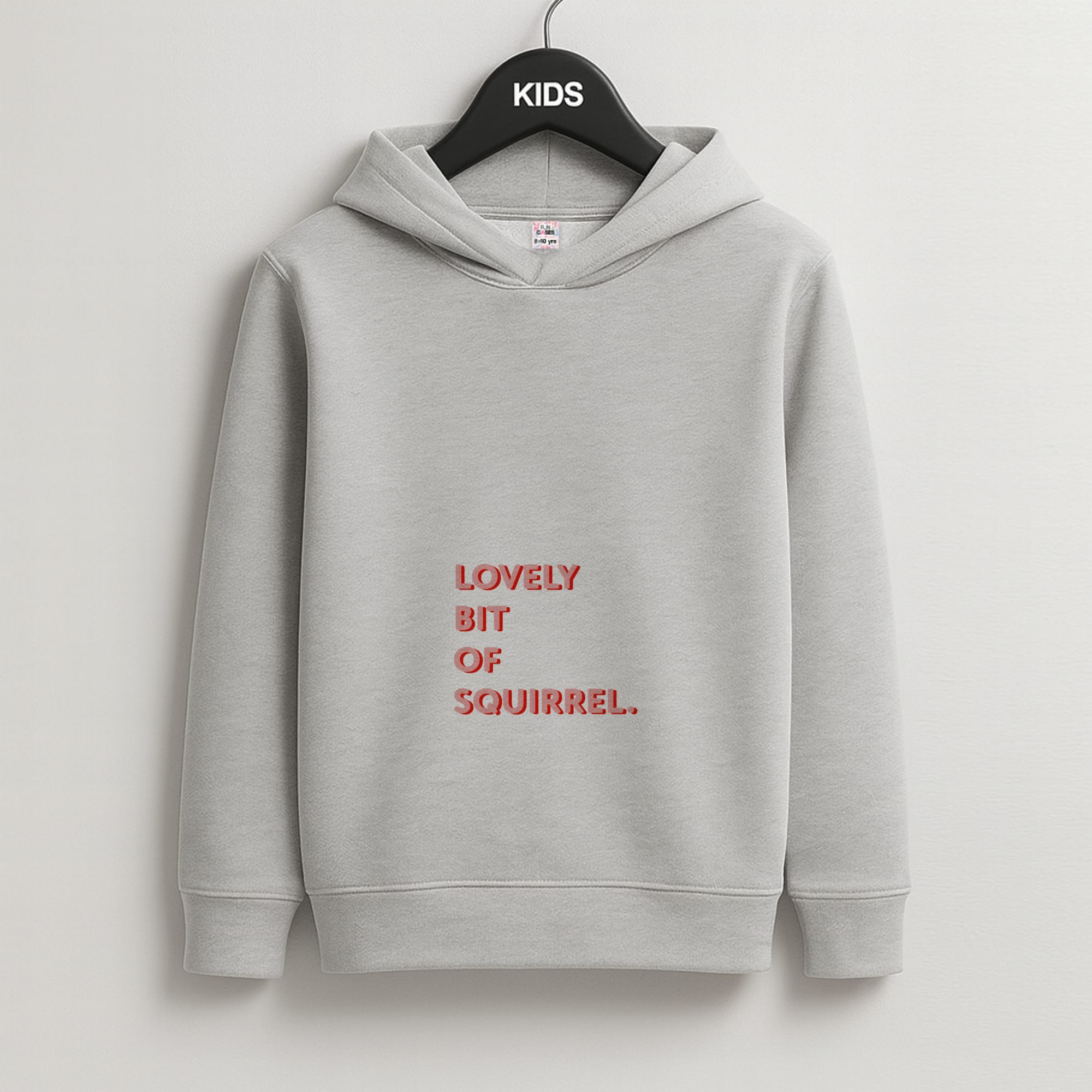 Lovely Bit Of Squirrel - FND Kids Grey Hoodie