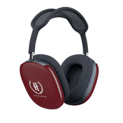 Gryffindor AirPods Max Case 2