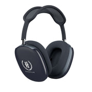 Ravenclaw AirPods Max Case 2