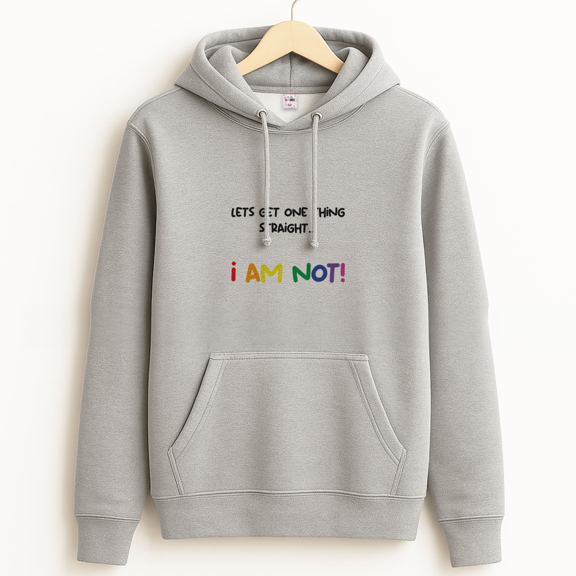 I Am Not - Pride Grey Hoodie
