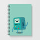 Adventure TimeNotebooks
