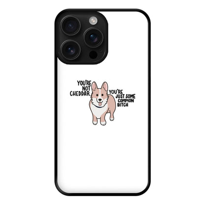 You're Not Cheddar - B99 Phone Case for iPhone 16 Pro Max