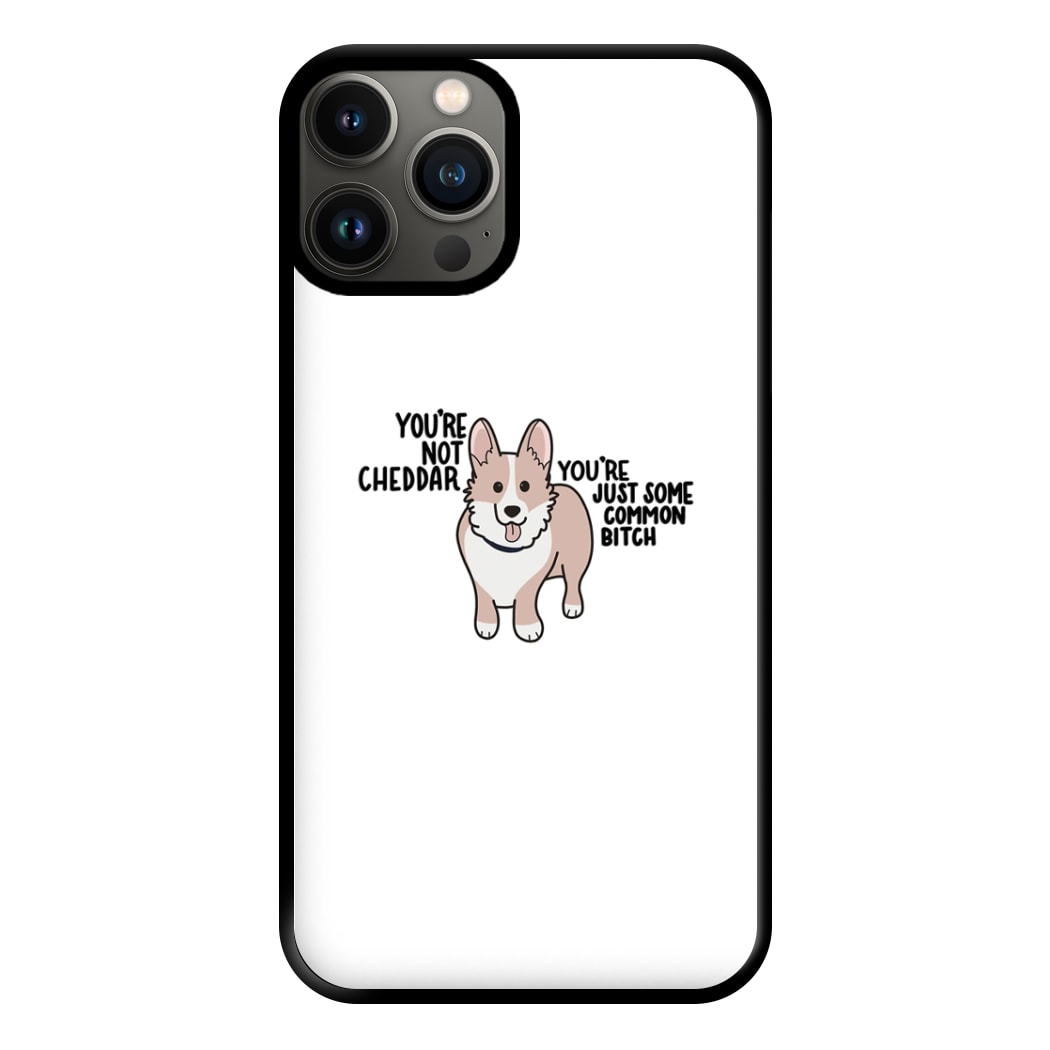 You're Not Cheddar - B99 Phone Case for iPhone 13 Pro Max