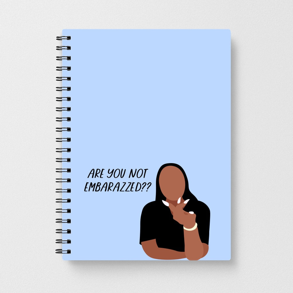 Are You Not Embarazzed? - British Pop Culture Notebook