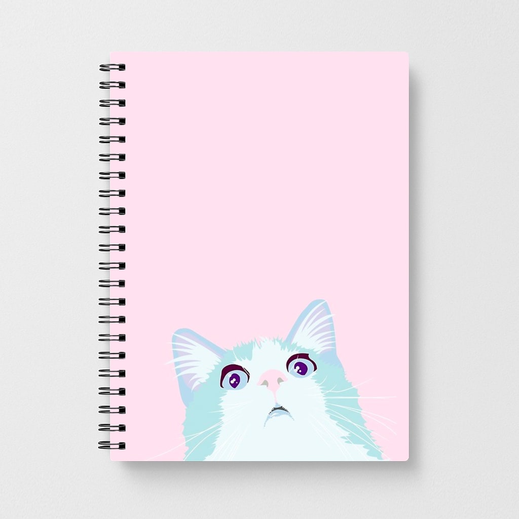 Curious Cat Notebook - Fun Cases