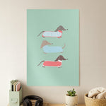 Sausage Dogs in Jumpers Poster
