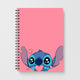 StitchNotebooks