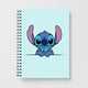 DisneyNotebooks