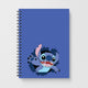 DisneyNotebooks
