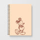 DisneyNotebooks