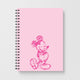 DisneyNotebooks