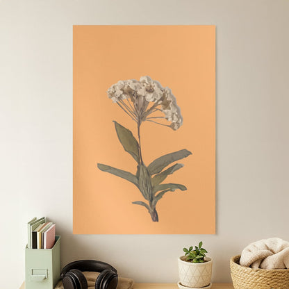 Bright Orange Pressed Flower Poster