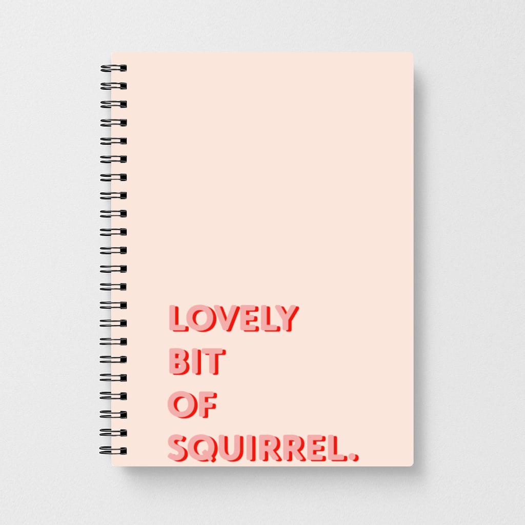 Lovely Bit Of Squirrel - Friday Night Dinner Notebook