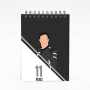 Perez 2026 Notebook 4