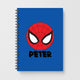 Spider ManNotebooks