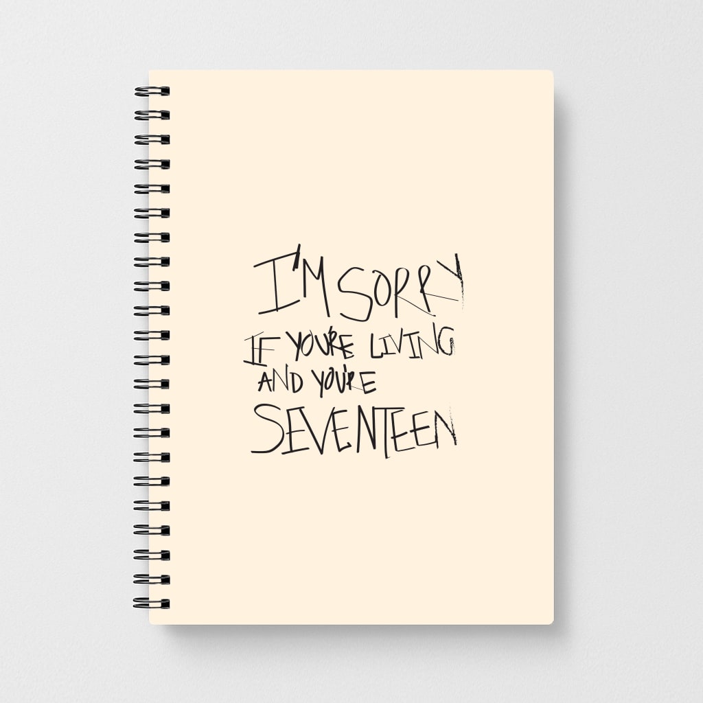 I'm Sorry - The 1975 Notebook
