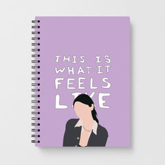 This Is What It Feels Like - Abrams Notebook