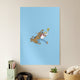 Scooby DooPosters