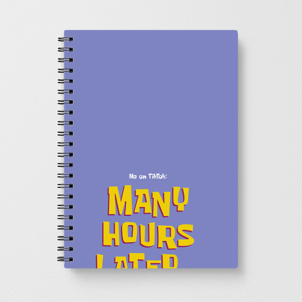Many Hours Later Notebook