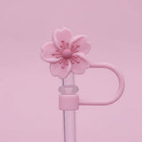 All Products Accessories