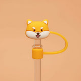 All Products Accessories