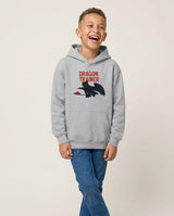 How To Train Your Dragon Kids Hoodies