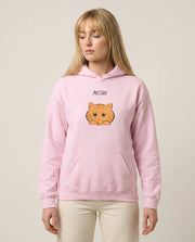 Ginger Cat - Cats Hoodie 1