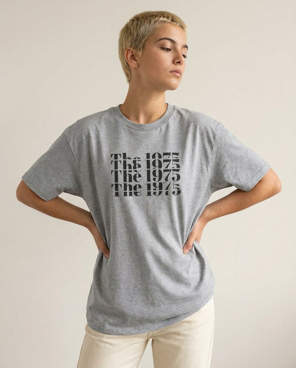 Title - The 1975 T-Shirt — Grey Front, worn
