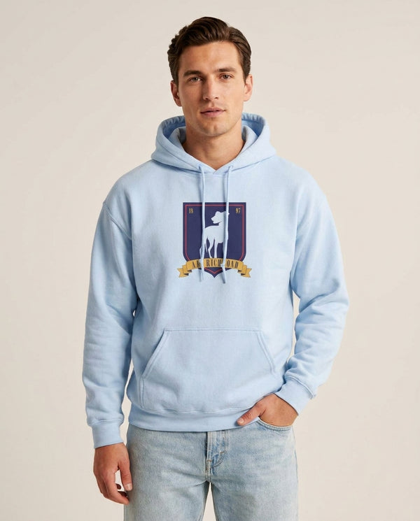 A.F.C Richmond Hoodie — Blue Front, worn
