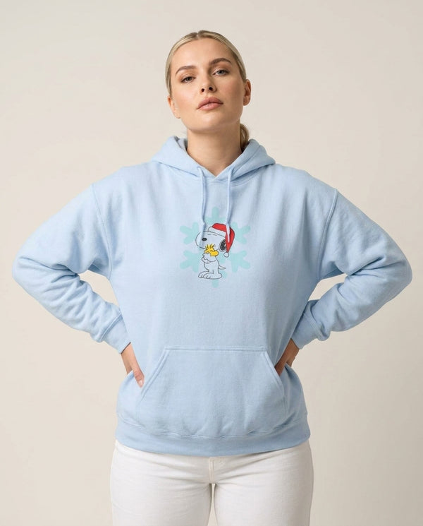 Christmas Cartoon Beagle And Bird  Hoodie — Blue Front, worn
