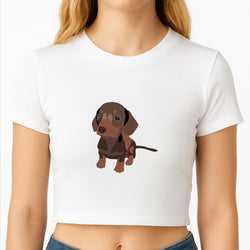 Brown - Dachshunds Crop Top