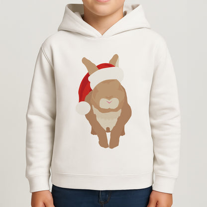 Rabbit Christmas Ears Boys Hoodie