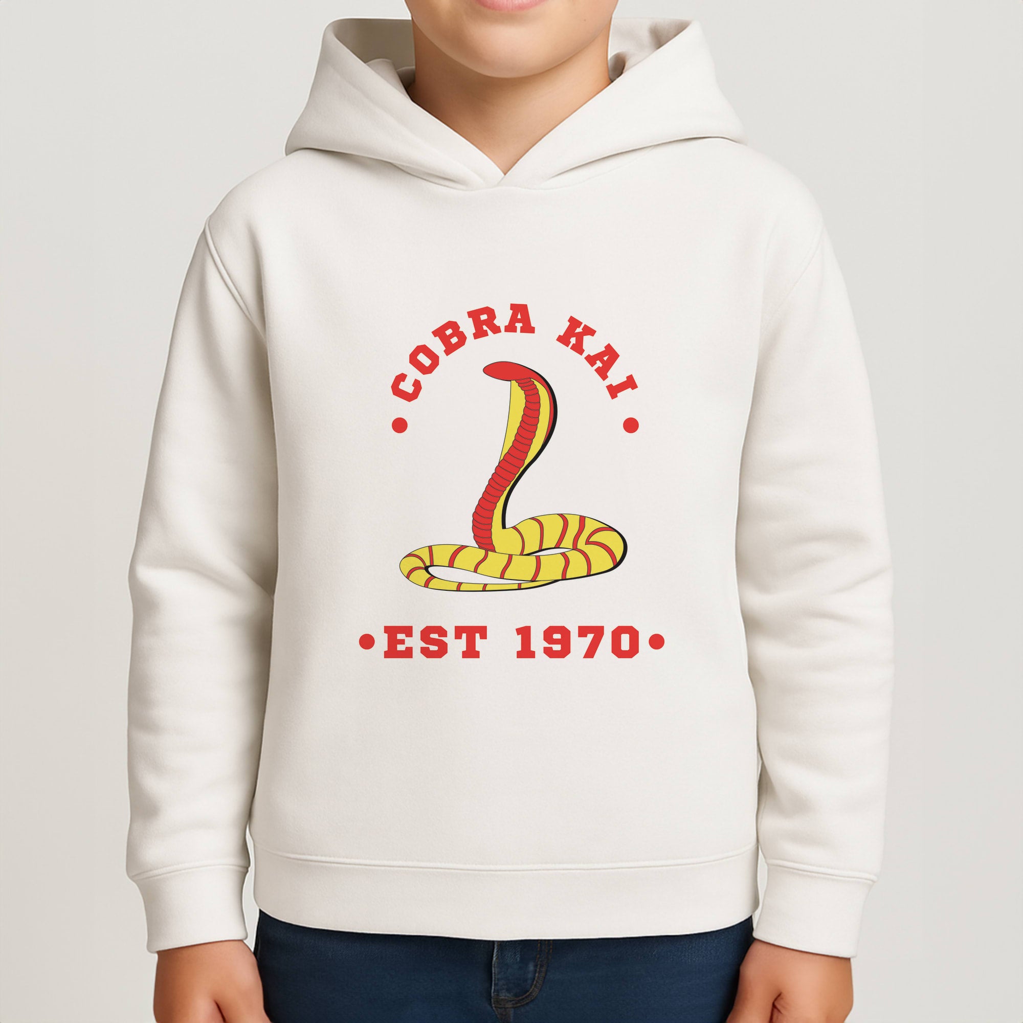Snake Est 1970 Boys Hoodie