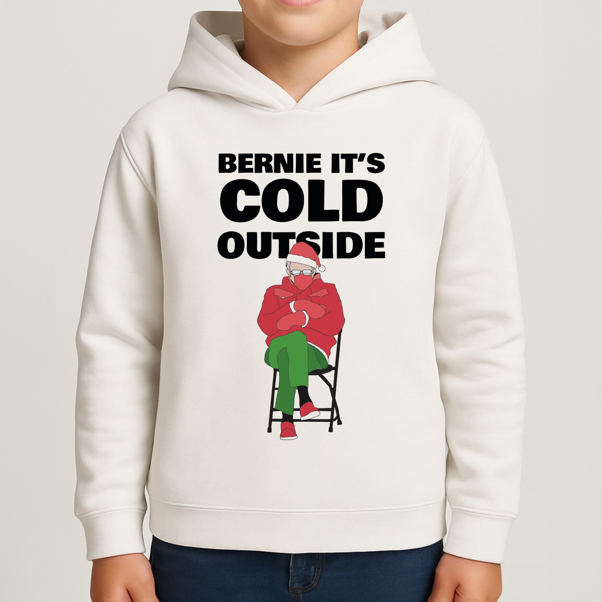 Bernie It's Cold Outside Boys Hoodie