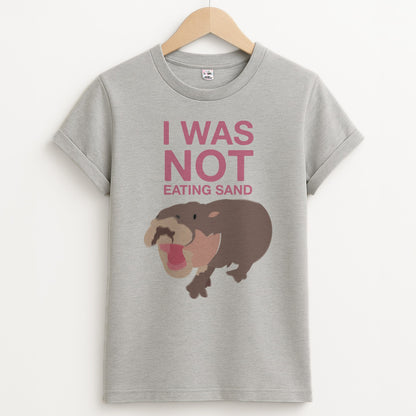 I Was Not Eating Sand Unisex Grey T-Shirt