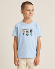 Dragons Of Berk Kids T-Shirt 1