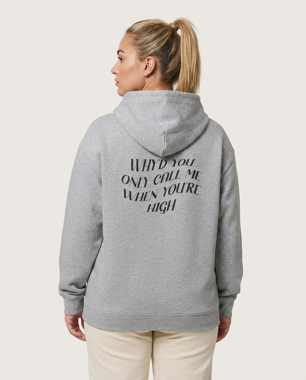 Call Me When You're High  Hoodie — Grey Back, worn