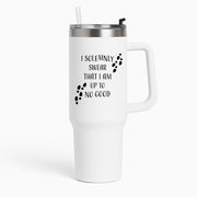 I Solemnly Swear Tumbler 1