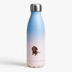 Brown - Dachshunds Blue Water Bottle