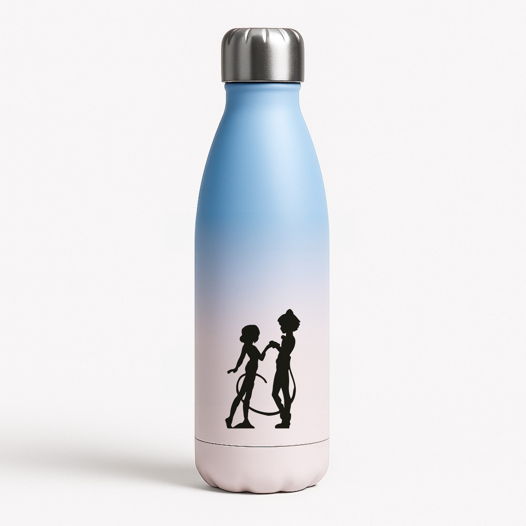 Ladybug And Cat Noir Blue Water Bottle
