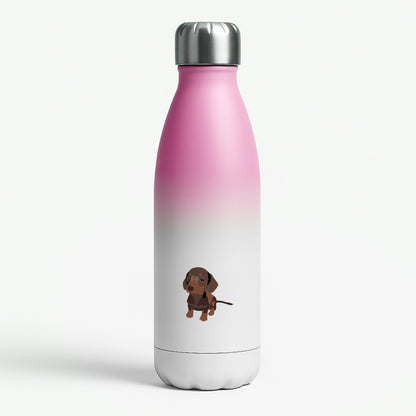 Brown - Dachshunds Pink Water Bottle